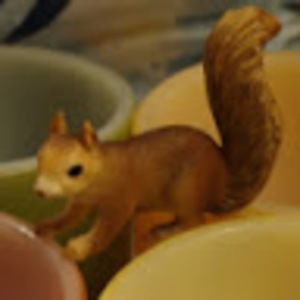 Meet your Posher, Jade